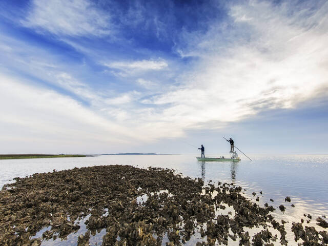 fishermen